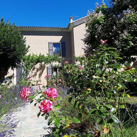 Le Clos Du Verger La Motte-du-Caire Luaran gambar
